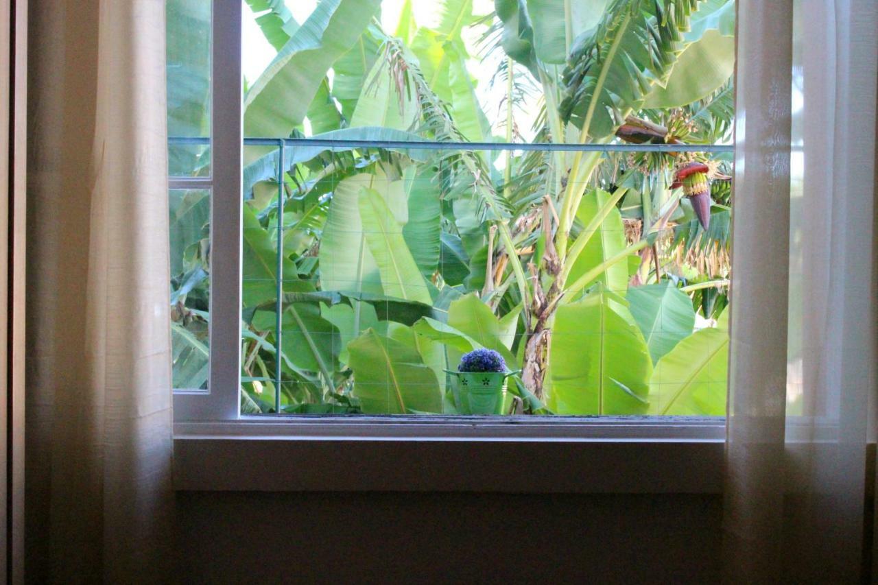Fx Pena Hostel Funchal  Ngoại thất bức ảnh