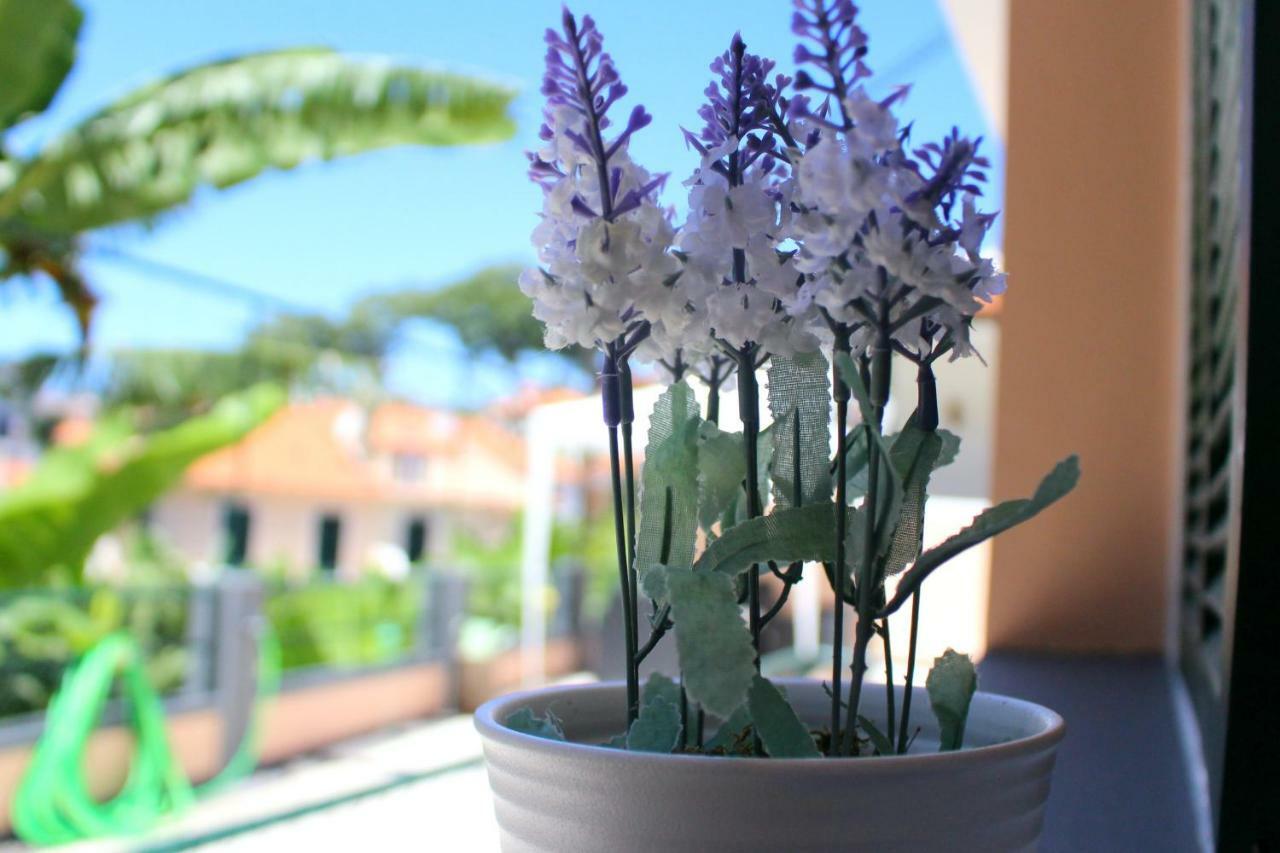 Fx Pena Hostel Funchal  Ngoại thất bức ảnh